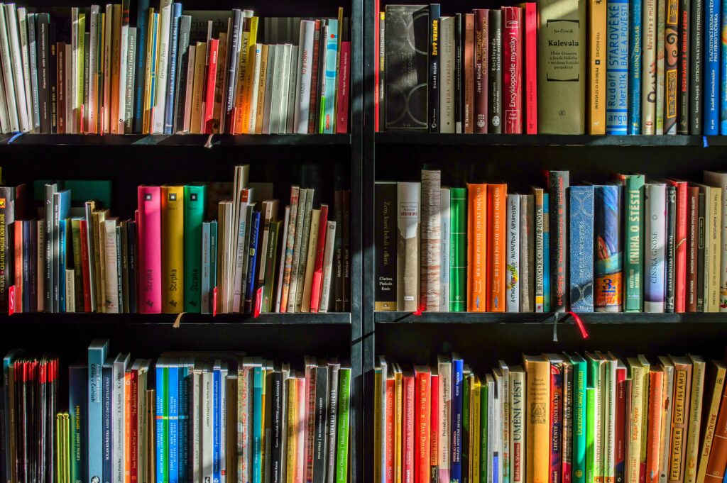 primary schooling